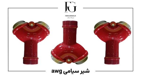 شیر سیامی awg