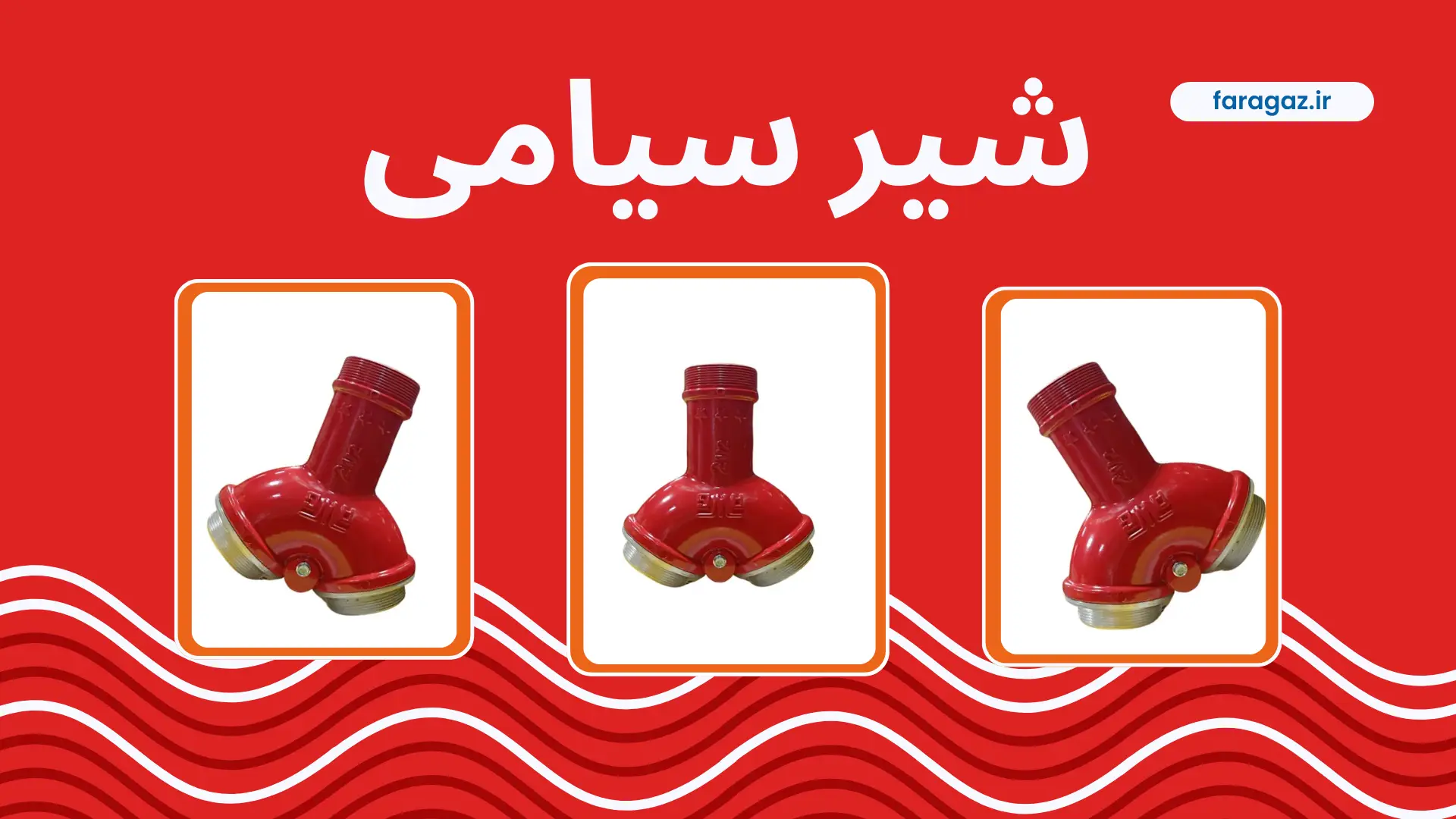 شیر سیامی