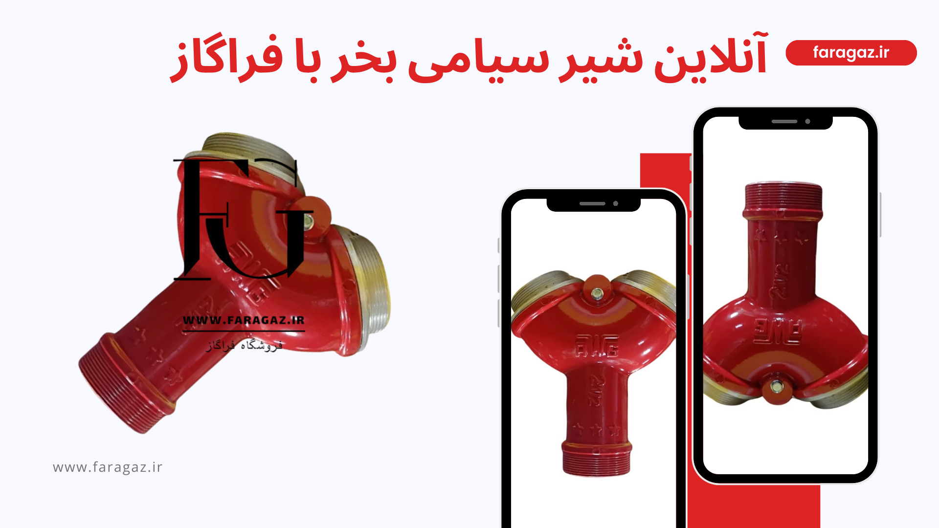 شیر سیامی