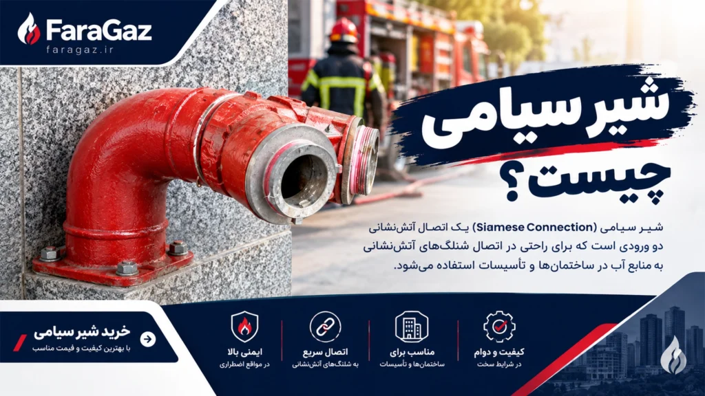 مشخصالت شیر سیامی چیست
